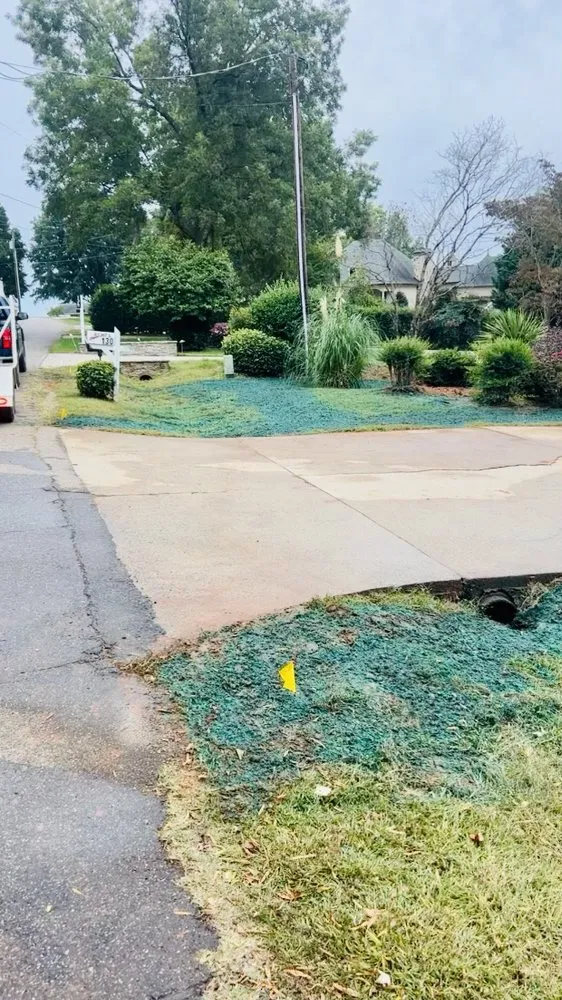 Professional landscape design in Catawba, NC - TerraSeed