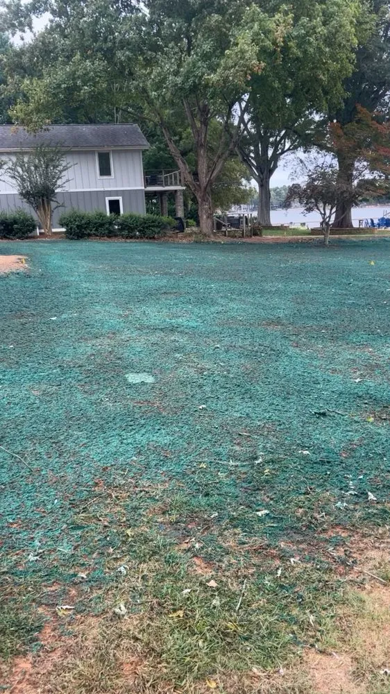 Affordable lawn mowing service for year-round maintenance in Catawba, NC by TerraSeed
