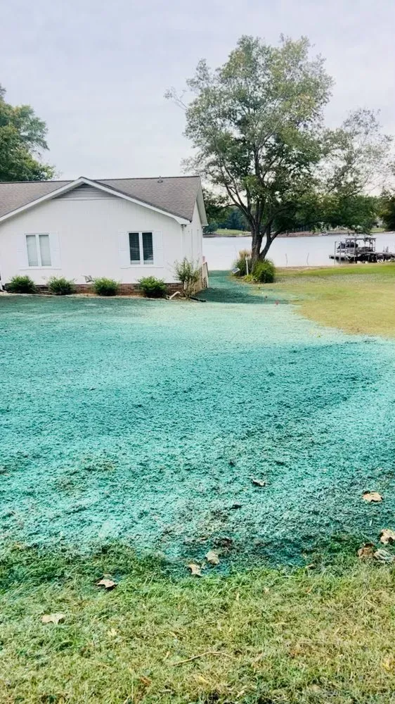 Custom yard cleanup service for residential properties in Catawba, NC by TerraSeed