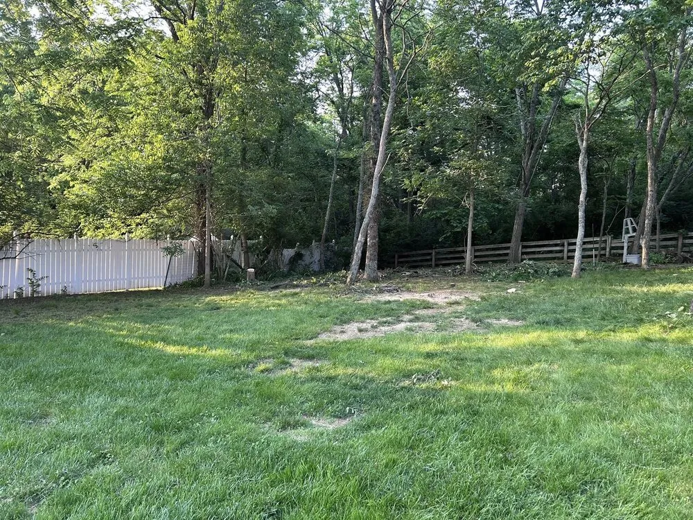 Custom landscape design for year-round maintenance across Independence, KY - Terrasteel Creations