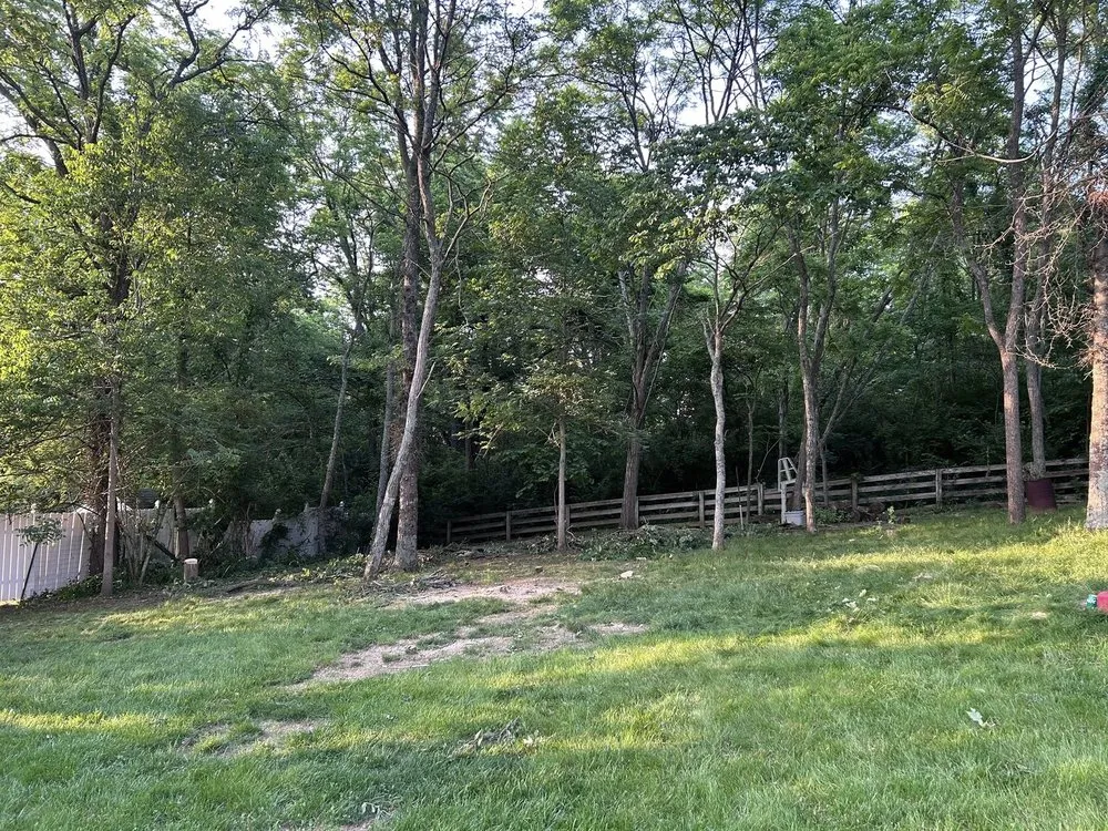 Professional landscape design experts serving Independence, KY - Terrasteel Creations