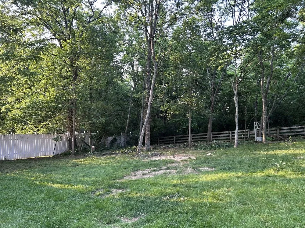 Affordable lawn care service for beautiful yards in Independence, KY by Terrasteel Creations