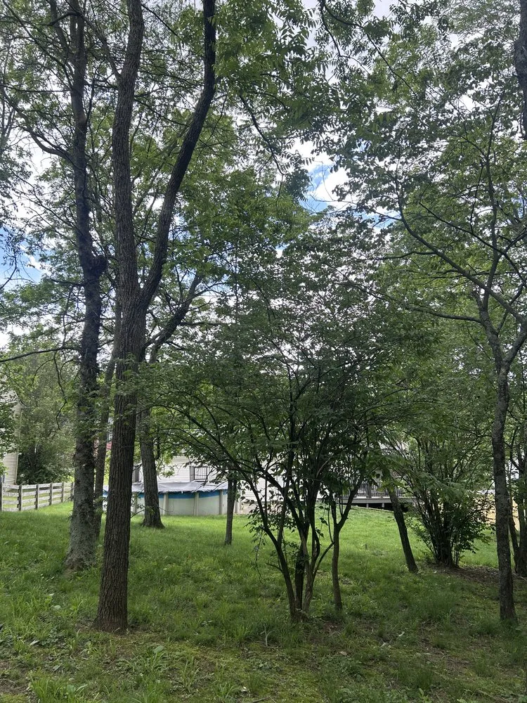 Local landscape installation in Independence, KY by Terrasteel Creations