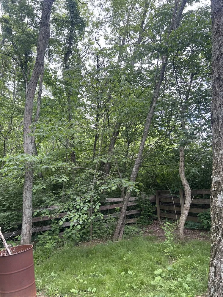 Expert landscaping services for homes in Independence, KY by Terrasteel Creations