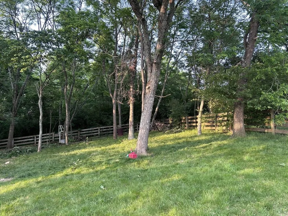 Professional lawn mowing service in Independence, KY - Terrasteel Creations