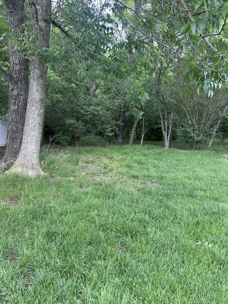 Custom landscape installation experts serving Independence, KY - Terrasteel Creations