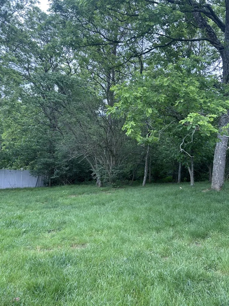 Local lawn mowing service in Independence, KY by Terrasteel Creations