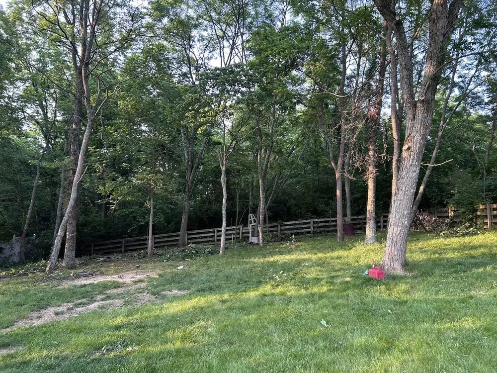 Trusted residential landscaping for outdoor upgrades in Independence, KY by Terrasteel Creations