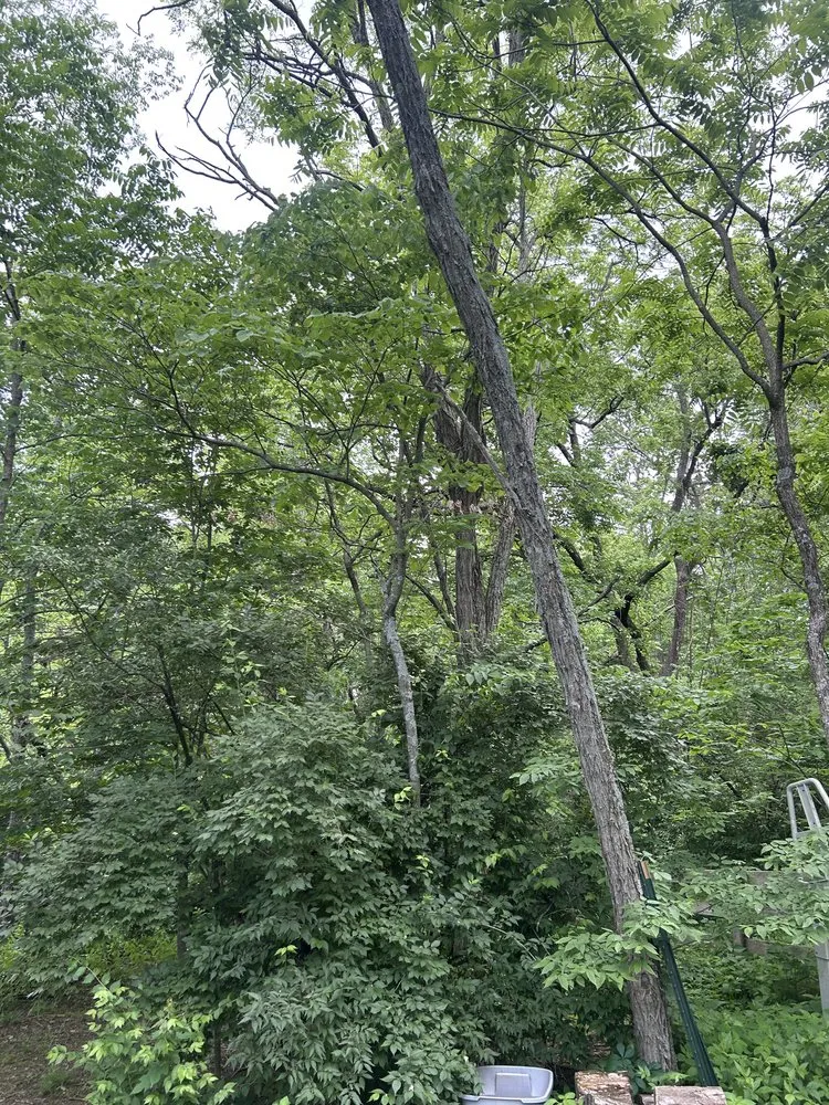 Expert outdoor landscaping for residential properties across Independence, KY - Terrasteel Creations