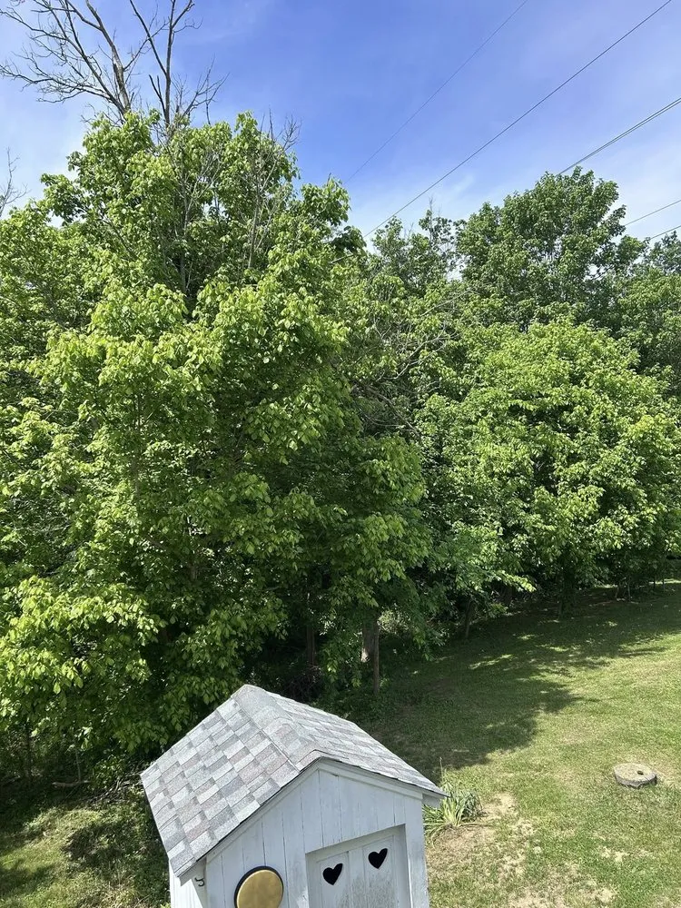 Top-rated yard maintenance experts serving Independence, KY - Terrasteel Creations