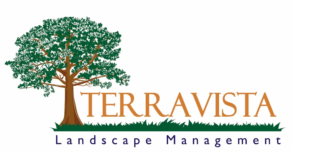 Affordable lawn mowing service for year-round maintenance in Raleigh, NC by TerraVista Landscape Management