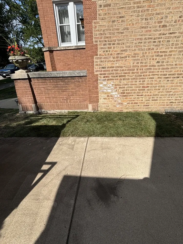 Professional outdoor landscaping in Plainfield, IL - TerraVista Landscaping