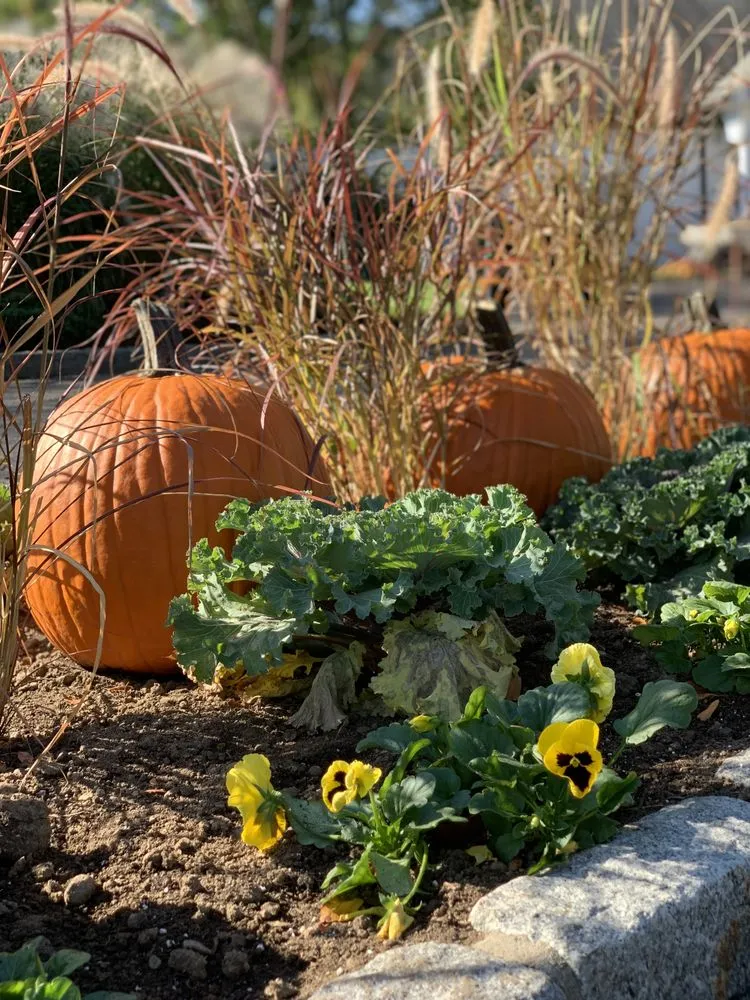 Local landscape installation for beautiful yards across Garden City, ID - Terravita Landscape & Gardening