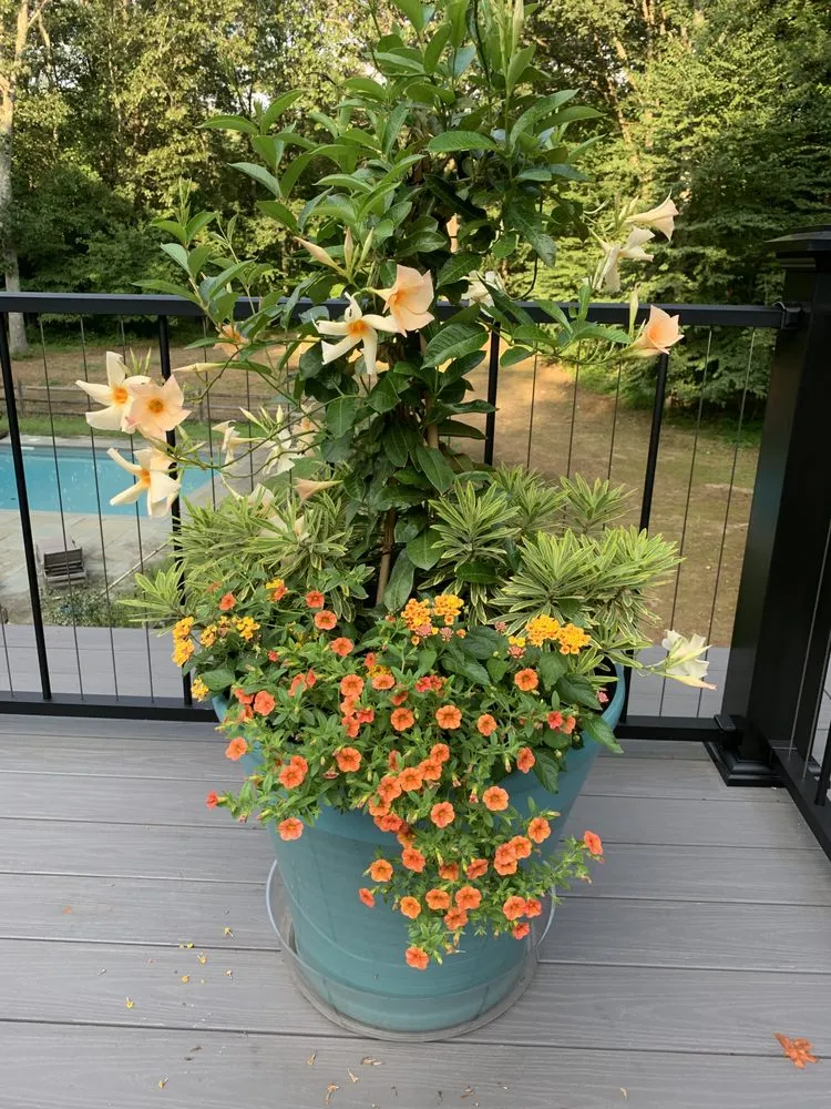 Custom lawn care service in Garden City, ID by Terravita Landscape & Gardening