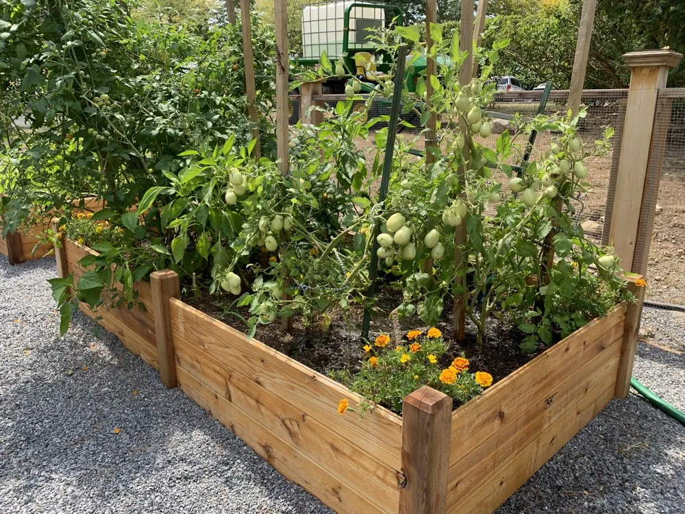 Affordable yard cleanup service experts serving Garden City, ID - Terravita Landscape & Gardening