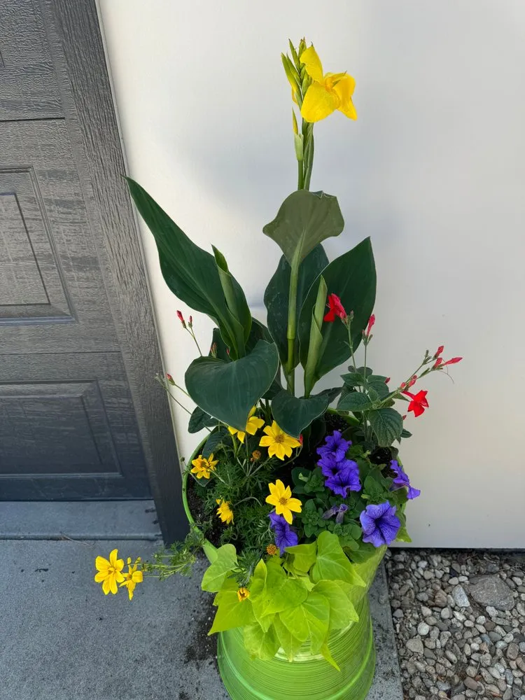 Local landscaping services for year-round maintenance in Garden City, ID by Terravita Landscape & Gardening