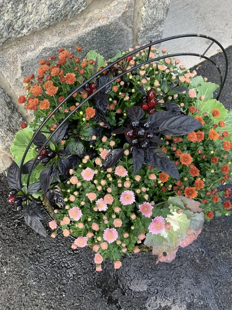 Top-rated lawn mowing service in Garden City, ID - Terravita Landscape & Gardening