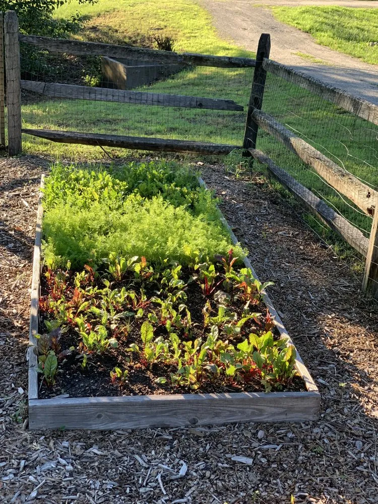 Custom lawn mowing service in Garden City, ID - Terravita Landscape & Gardening