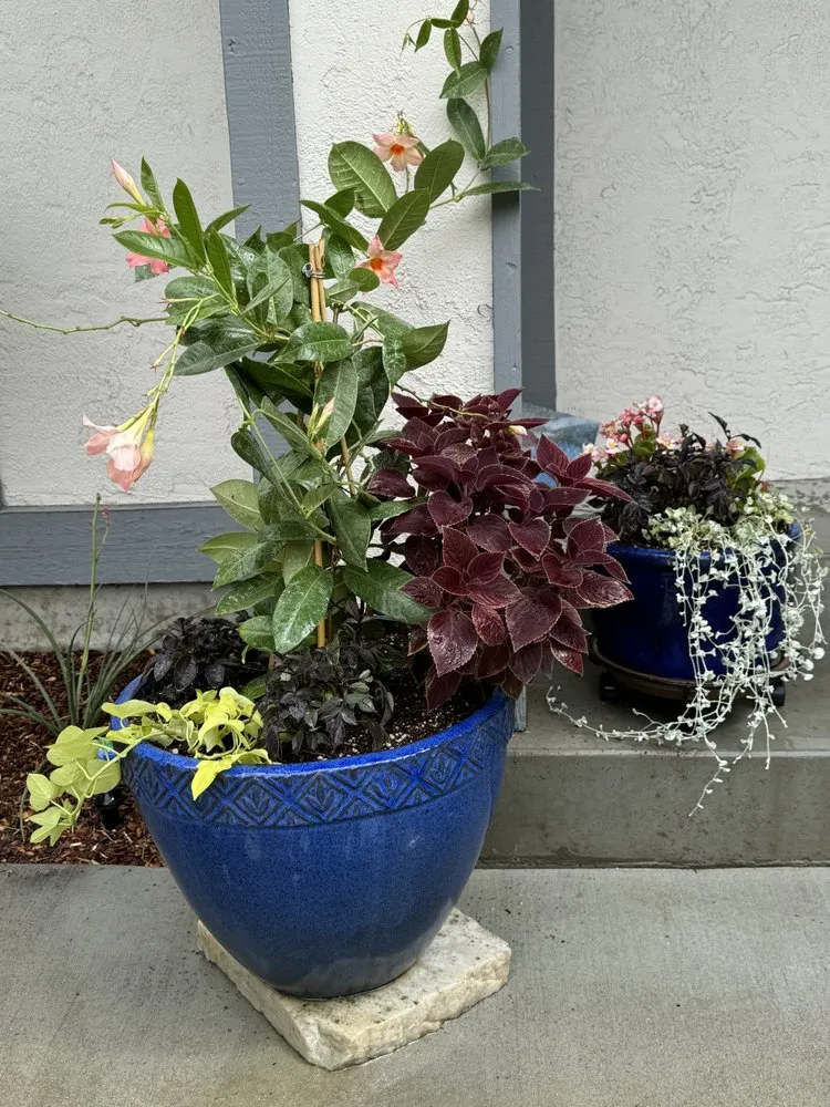 Affordable lawn mowing service experts serving Garden City, ID - Terravita Landscape & Gardening