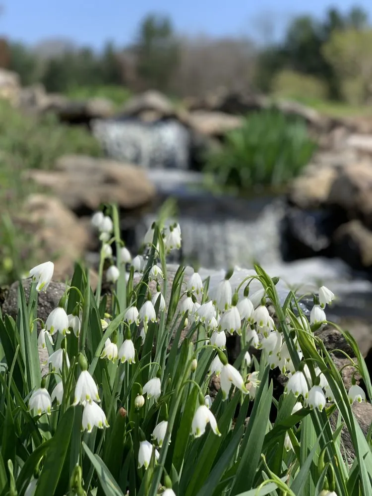 Top-rated yard maintenance for year-round maintenance across Garden City, ID - Terravita Landscape & Gardening