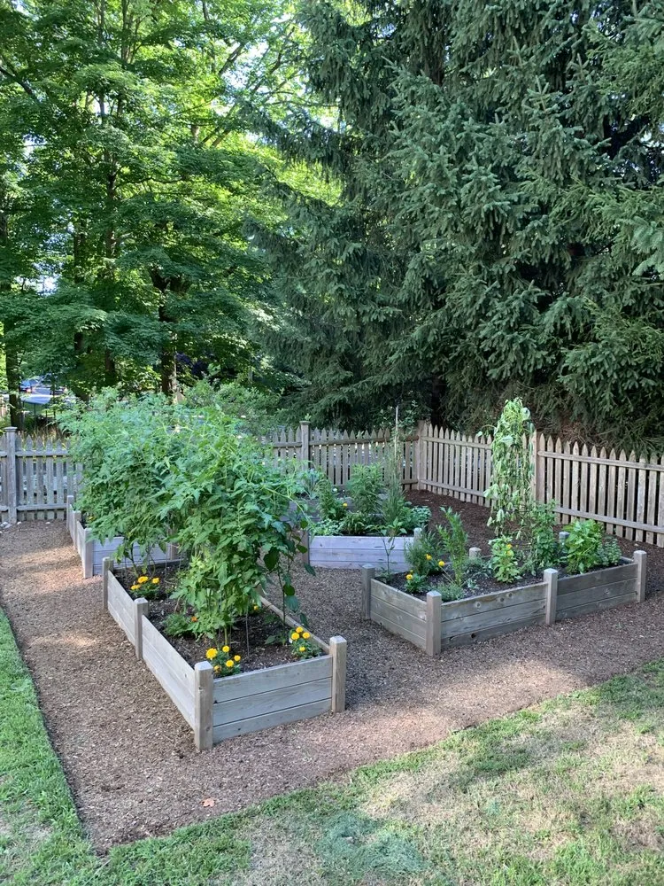 Custom lawn care service for residential properties across Garden City, ID - Terravita Landscape & Gardening