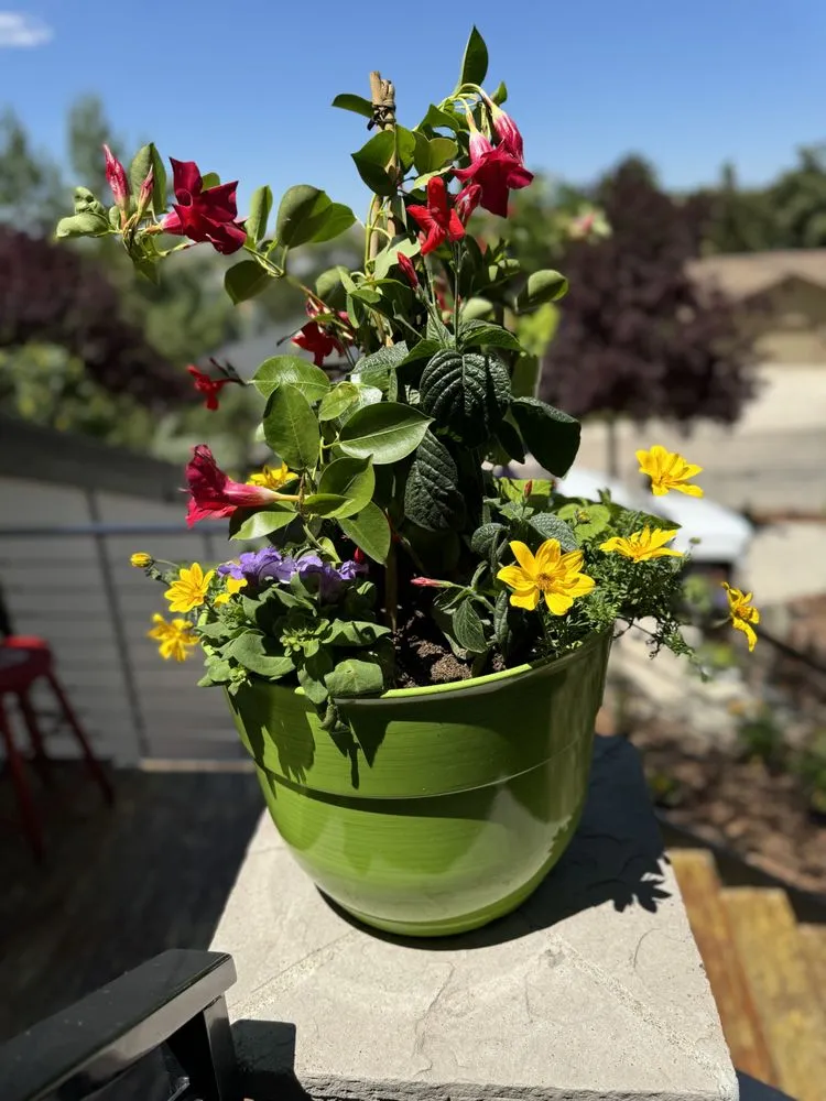 Custom yard cleanup service for homes in Garden City, ID by Terravita Landscape & Gardening