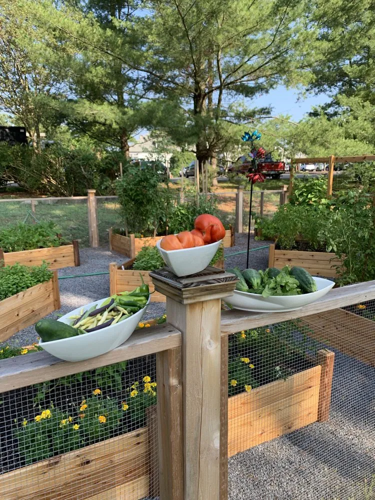 Local residential landscaping experts serving Garden City, ID - Terravita Landscape & Gardening