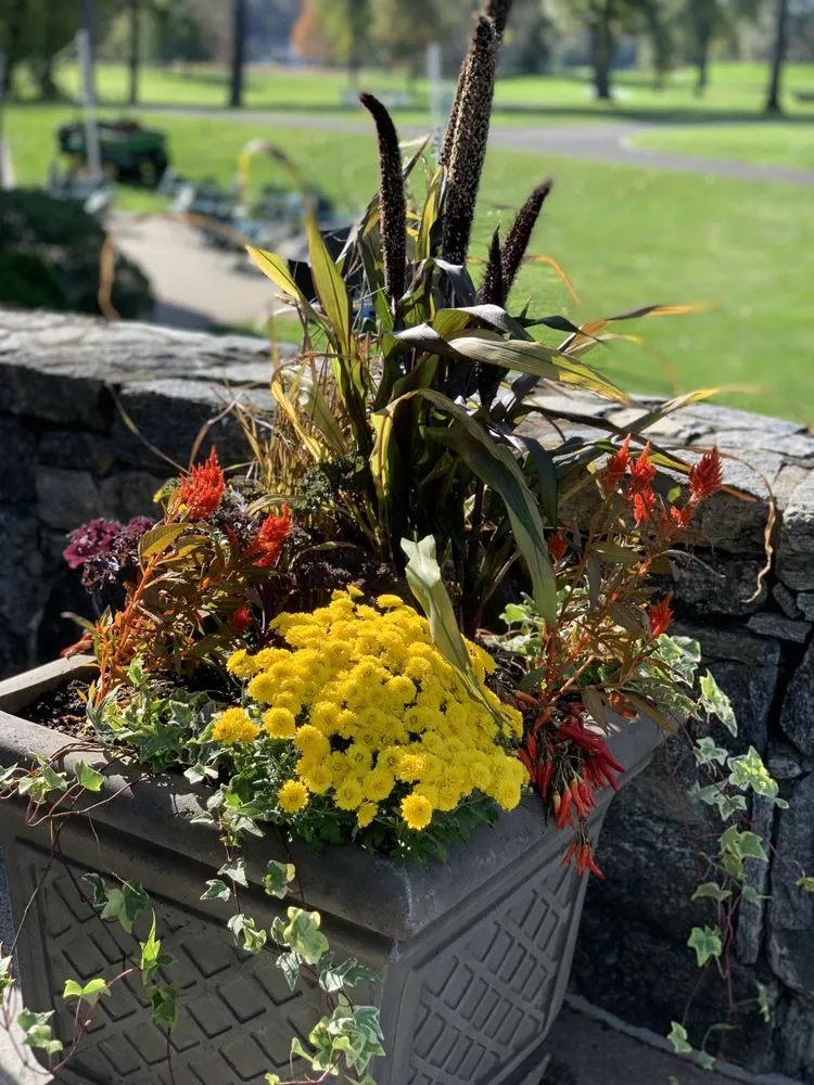 Local yard cleanup service in Garden City, ID by Terravita Landscape & Gardening