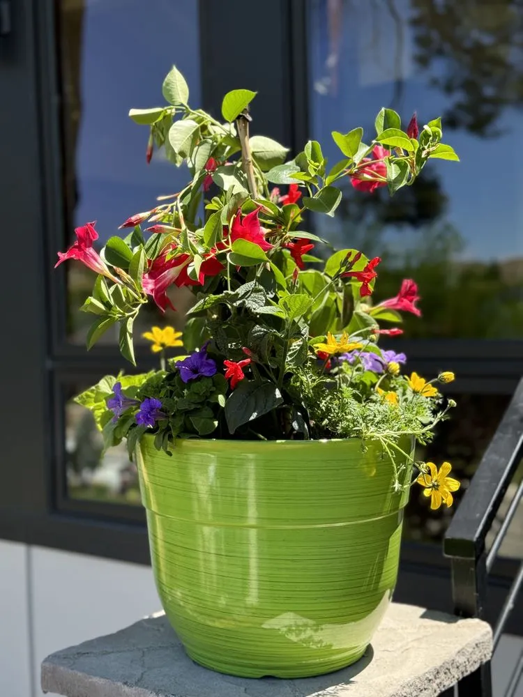 Reliable outdoor landscaping near you in Garden City, ID by Terravita Landscape & Gardening