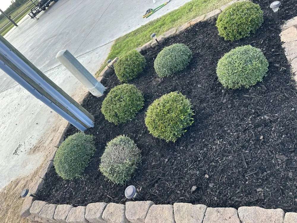 Expert landscaping services in Byromville, GA - Terrazas Construction