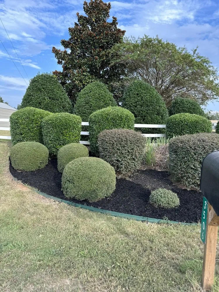 Expert lawn mowing service in Byromville, GA by Terrazas Construction