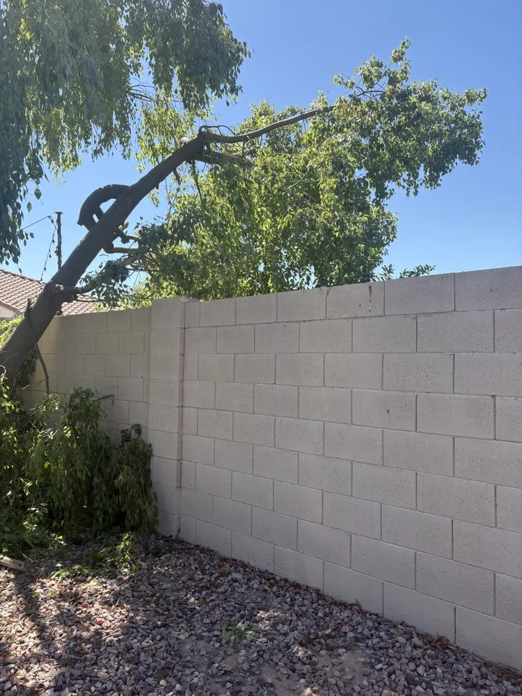 Top-rated landscape installation in Laveen Village, AZ - Terrazas Great Landscaping
