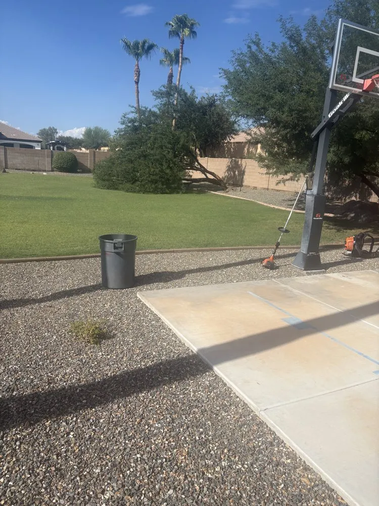 Custom landscape design for homes across Laveen Village, AZ - Terrazas Great Landscaping