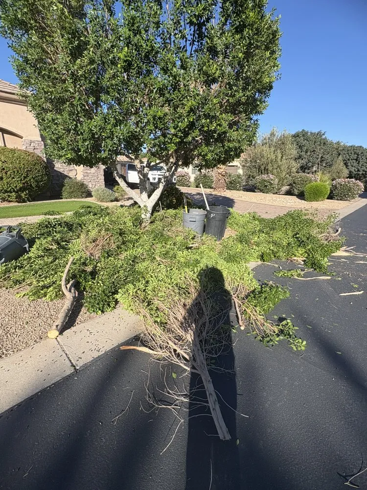 Top-rated landscaping services in Laveen Village, AZ by Terrazas Great Landscaping