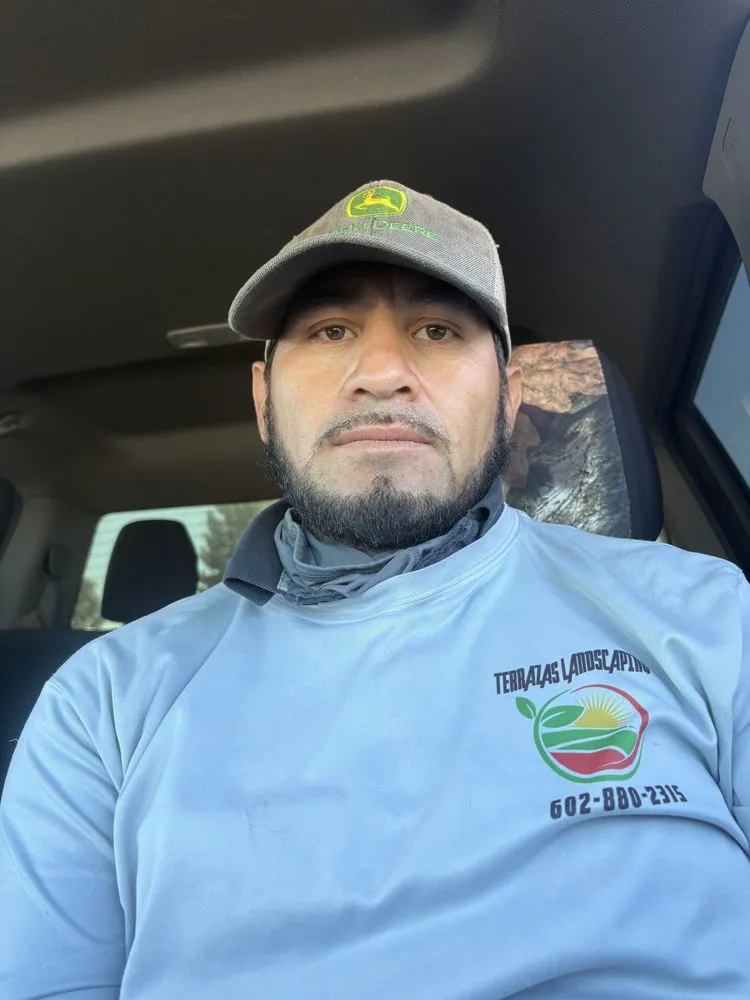 Professional landscaping services experts serving Laveen Village, AZ - Terrazas Great Landscaping