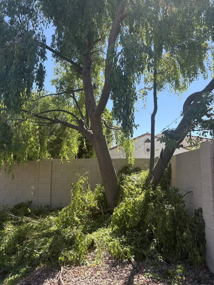 Local landscape installation in Laveen Village, AZ by Terrazas Great Landscaping