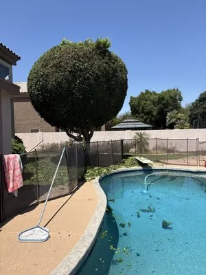 Terrazas Great Landscaping