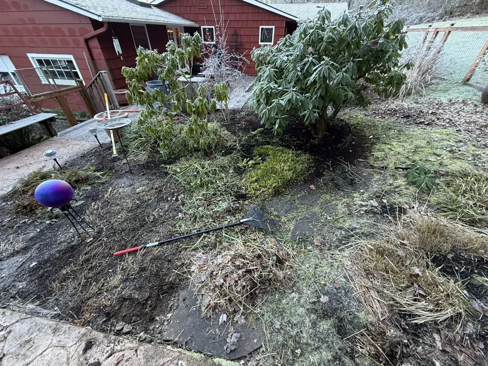 Top-rated yard cleanup service in Eugene, OR by Terrazas Landscaping Pros