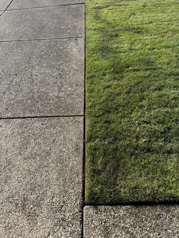 Top-rated landscape installation with custom design across Eugene, OR - Terrazas Landscaping Pros