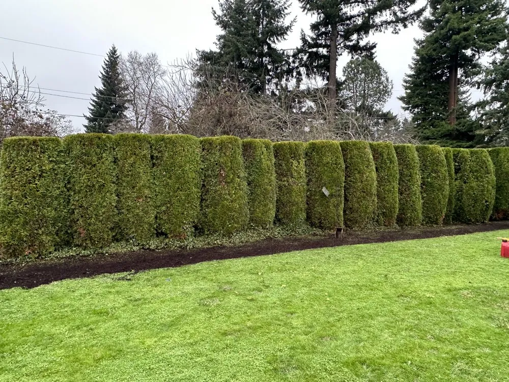 Professional landscaping services for outdoor upgrades across Eugene, OR - Terrazas Landscaping Pros