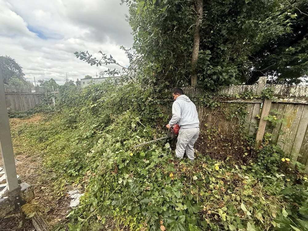 Reliable garden landscaping for beautiful yards across Eugene, OR - Terrazas Landscaping Pros