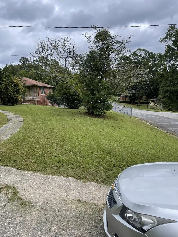 Local lawn care service experts serving Macon, GA - Terrell Lawn Service