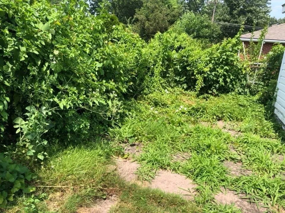 Trusted landscape design for year-round maintenance in Detroit, MI by Terrells All Around Services