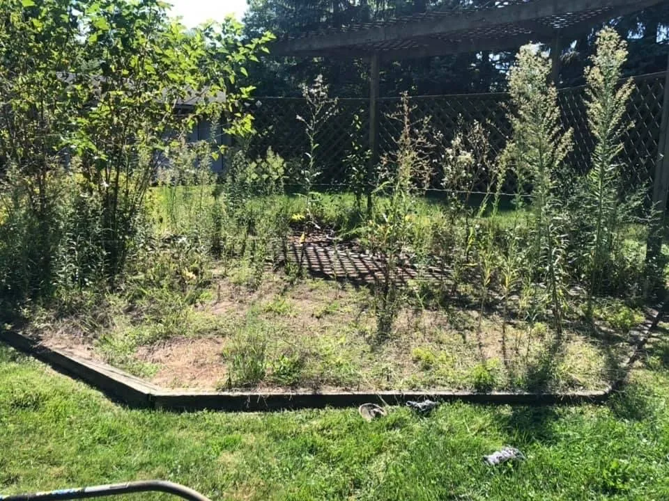 Top-rated outdoor landscaping in Detroit, MI by Terrells All Around Services