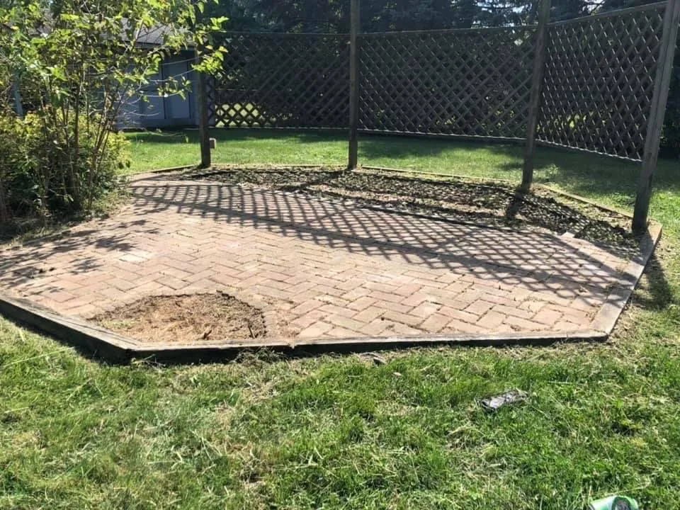 Professional lawn mowing service experts serving Detroit, MI - Terrells All Around Services