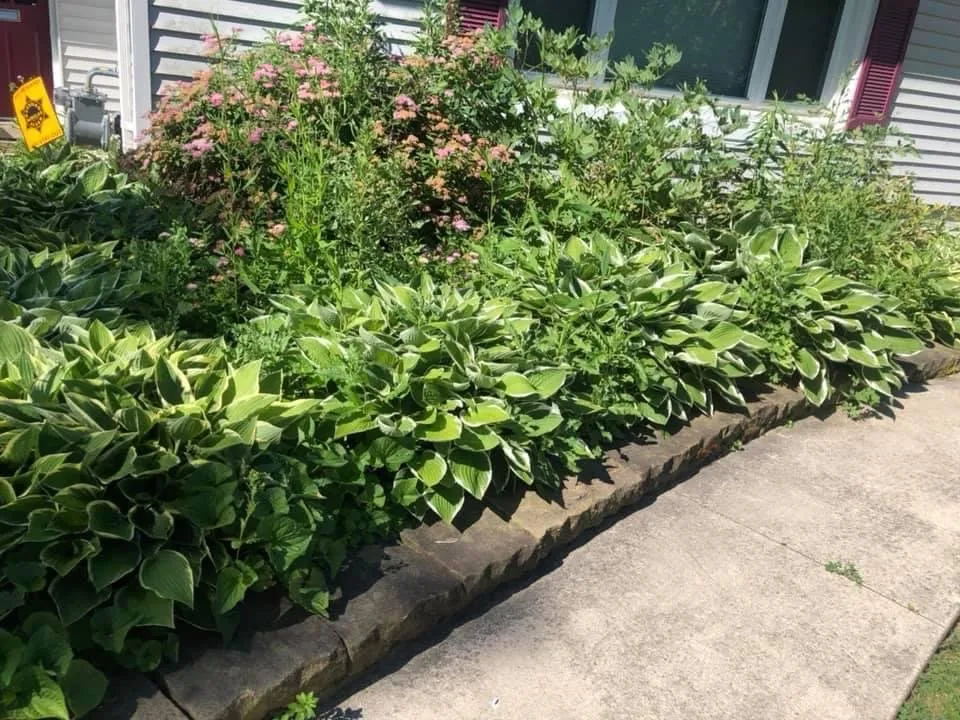 Local lawn care service with custom design in Detroit, MI by Terrells All Around Services