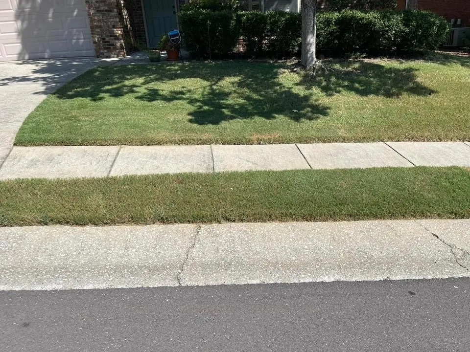 Reliable yard maintenance experts serving Birmingham, AL - Terrells Lawn Care
