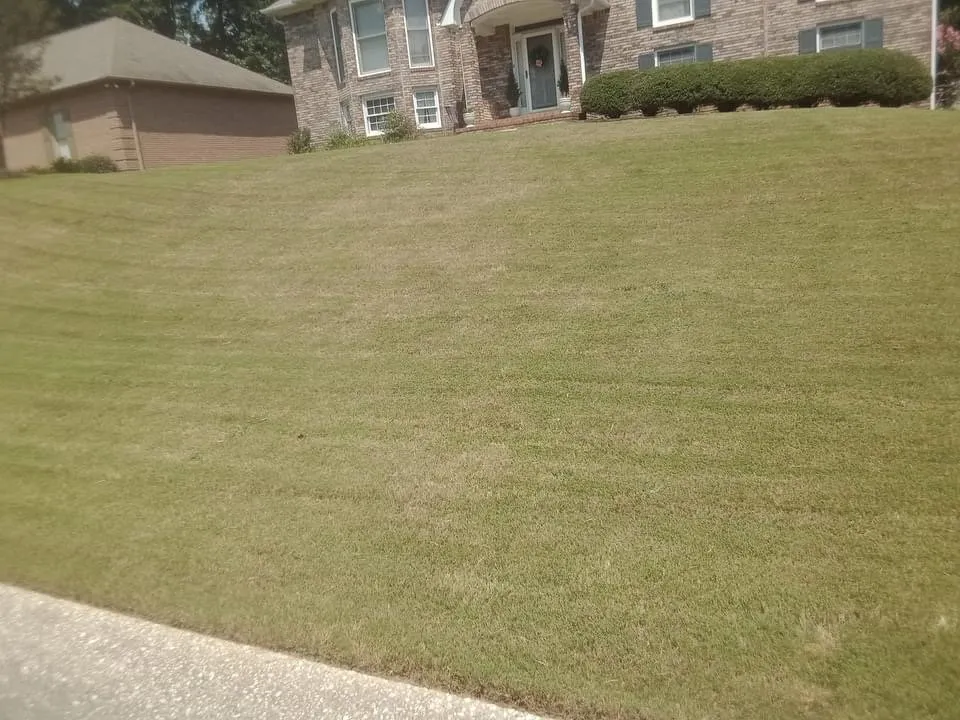 Professional lawn mowing service for outdoor upgrades across Birmingham, AL - Terrells Lawn Care