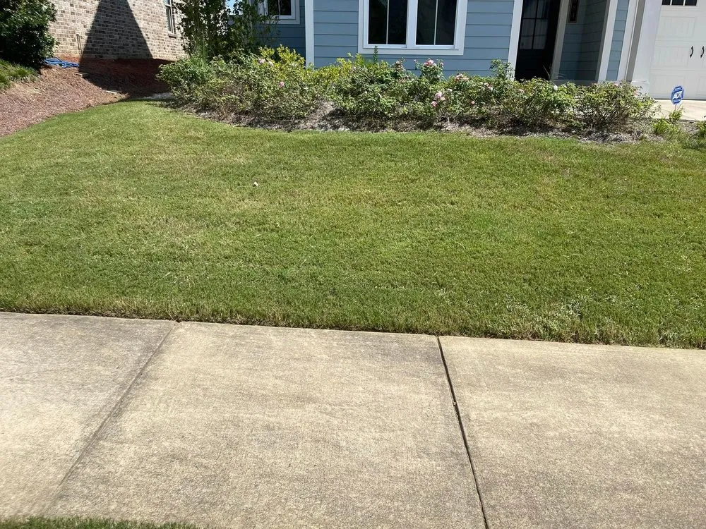 Custom lawn mowing service experts serving Birmingham, AL - Terrells Lawn Care