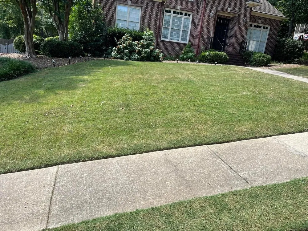 Reliable yard maintenance in Birmingham, AL - Terrells Lawn Care